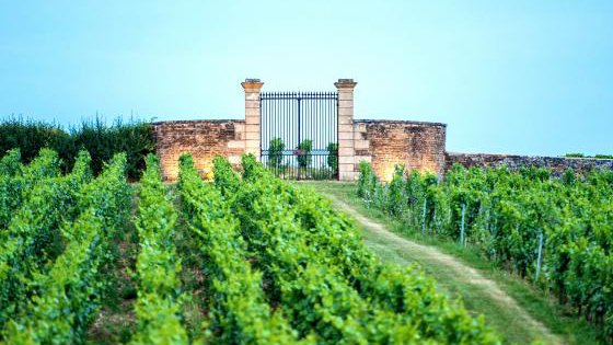 Chateau Besseuil Offres Coffrets Sejour Chateau Vignoble Chateau Besseuil Offres Coffrets Sejour Chateau Vignoble